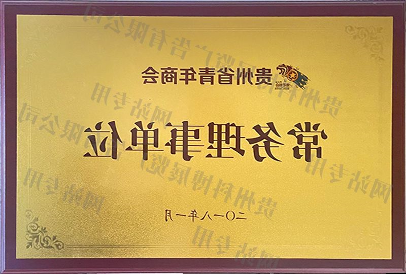 贵州青商会常务理事单位 